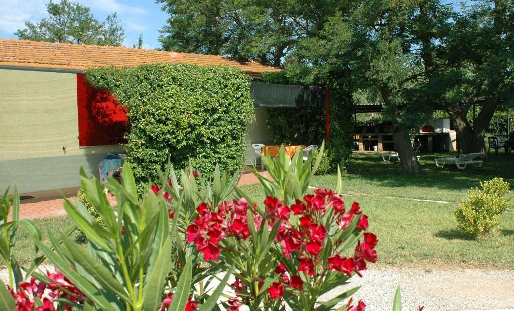 Casa Vacanze Guardamare Σαν Βιντσέντσο Δωμάτιο φωτογραφία