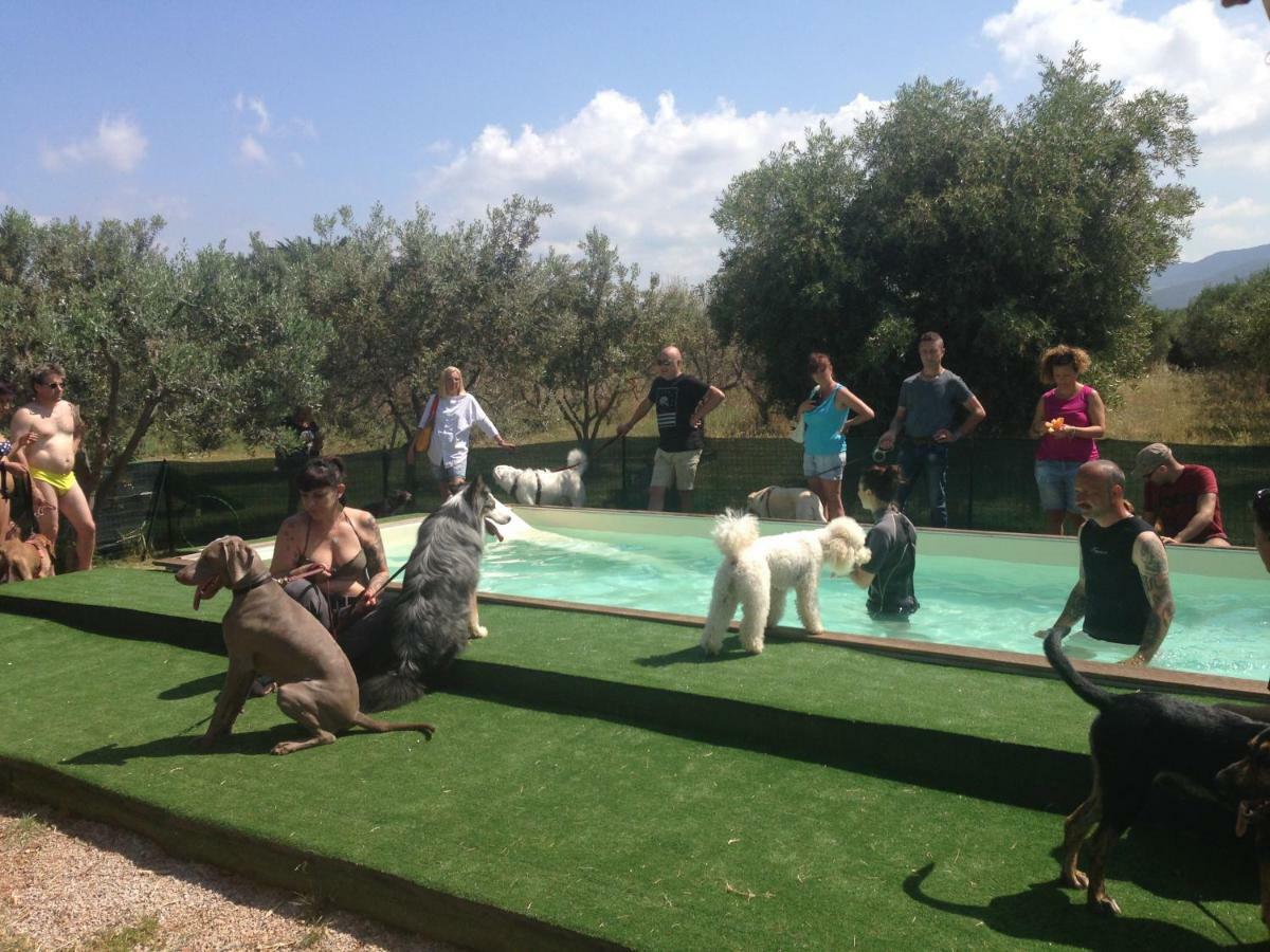Casa Vacanze Guardamare Σαν Βιντσέντσο Εξωτερικό φωτογραφία